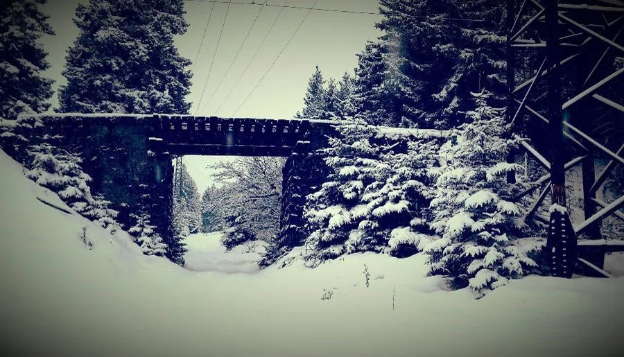 MG House — Photo 40