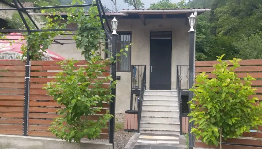 Guest House Borjomi — Photo 56