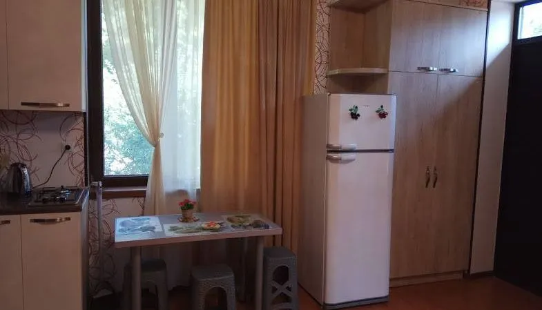Guest House Borjomi — Photo 46