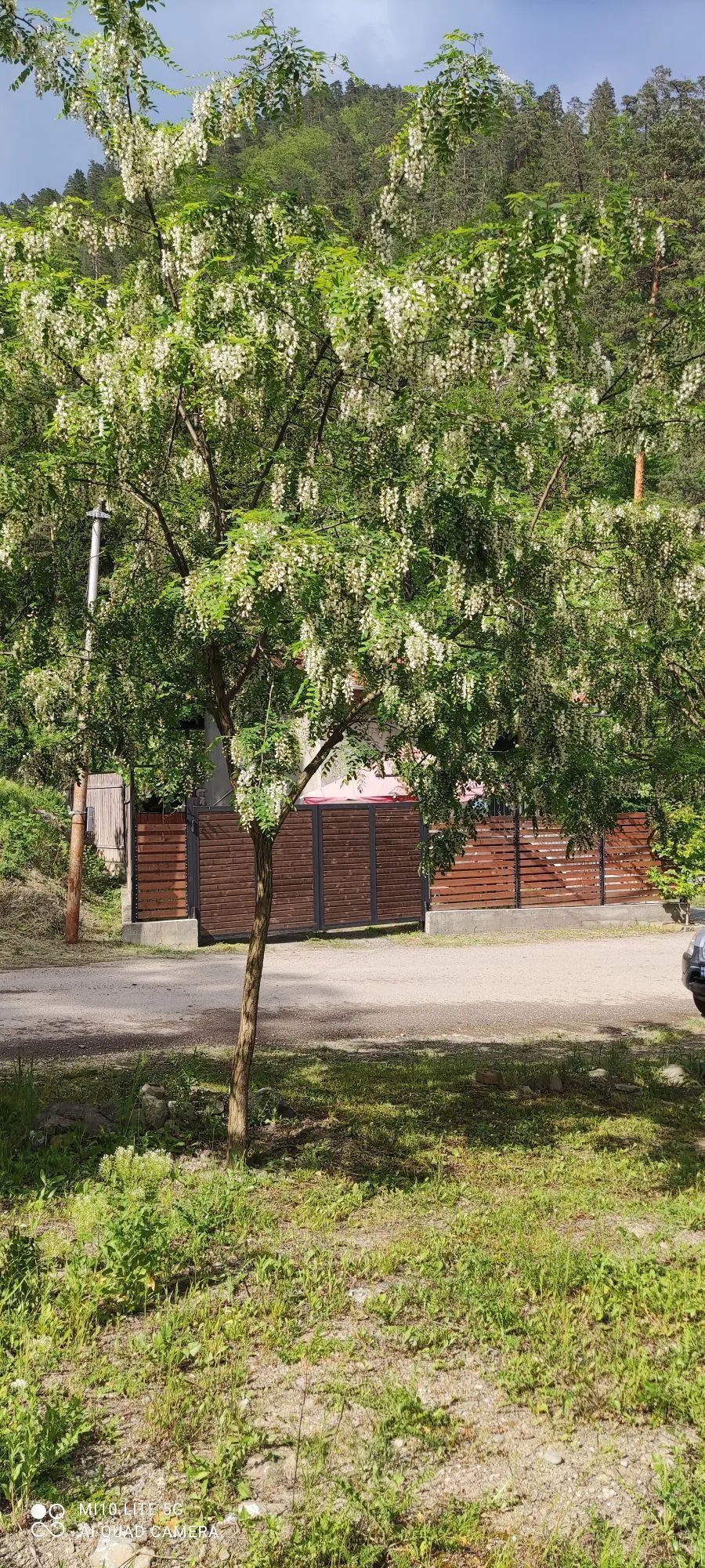 Guest House Borjomi — Photo 54