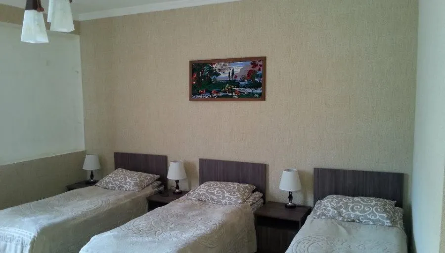 Hotel Metekhara — Photo 39