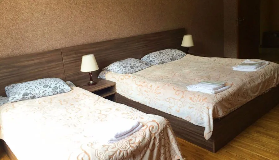 Hotel Metekhara — Photo 43