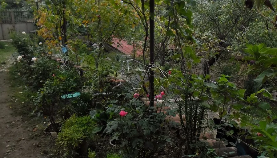 LUIZA — Photo 17