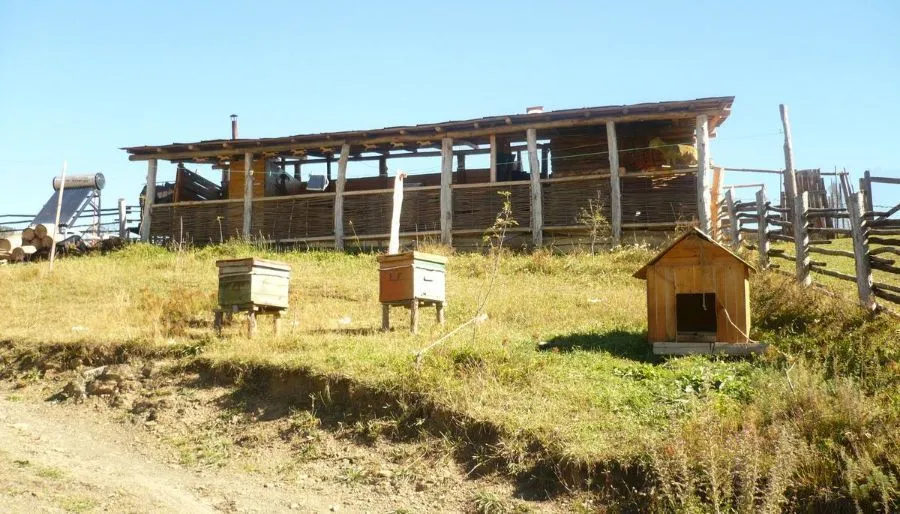 Javakhe — Photo 15