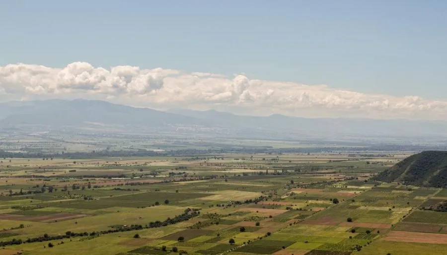 Alazani Valley — Photo 22