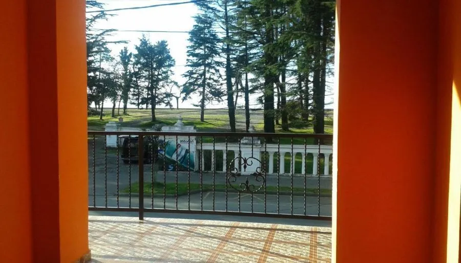 Mandarini — Photo 13