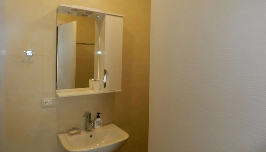 Hillside Bakuriani Apt 308 — Photo 12