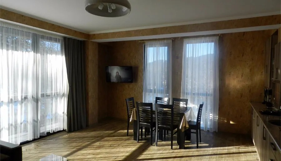 Hillside Bakuriani Apt 308 — Photo 11