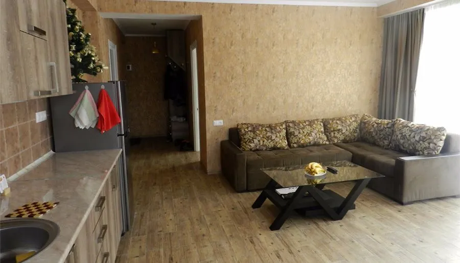 Hillside Bakuriani Apt 308 — Photo 14