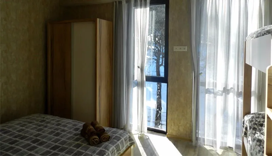 Hillside Bakuriani Apt 308 — Photo 10