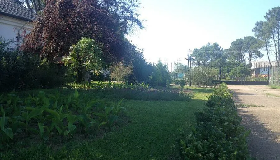 Laguna Hotel — Photo 26