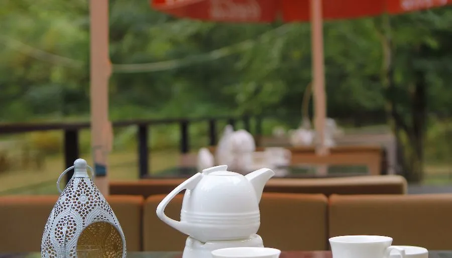 Wald Hotel Lagodekhi — Photo 15