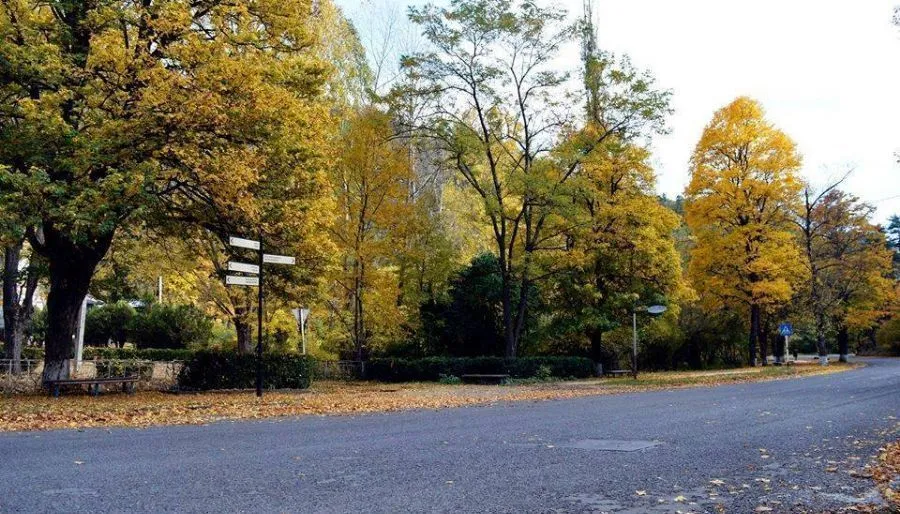 Green Hotel — Photo 25