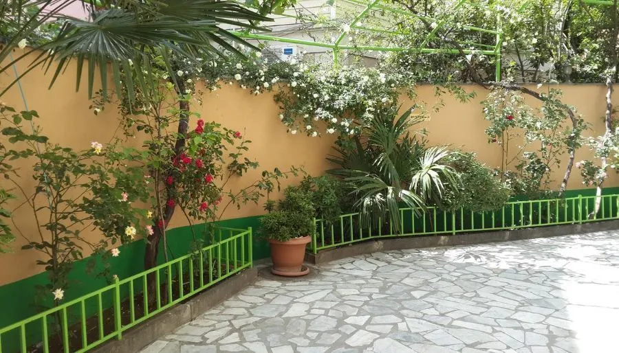Danisimo — Photo 13