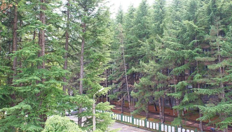 ERMA — Photo 16