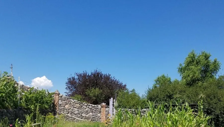 EDEMI — Photo 14