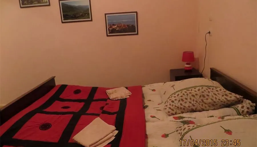 Golden Mountains House — Photo 35