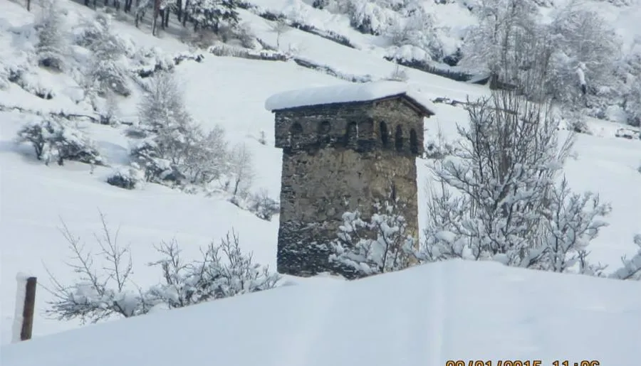 Golden Mountains House — Photo 13