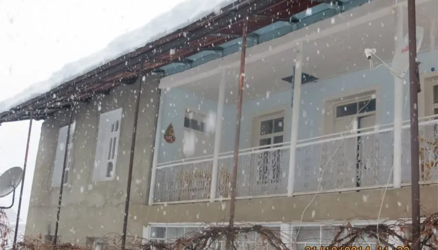 Golden Mountains House — Photo 12