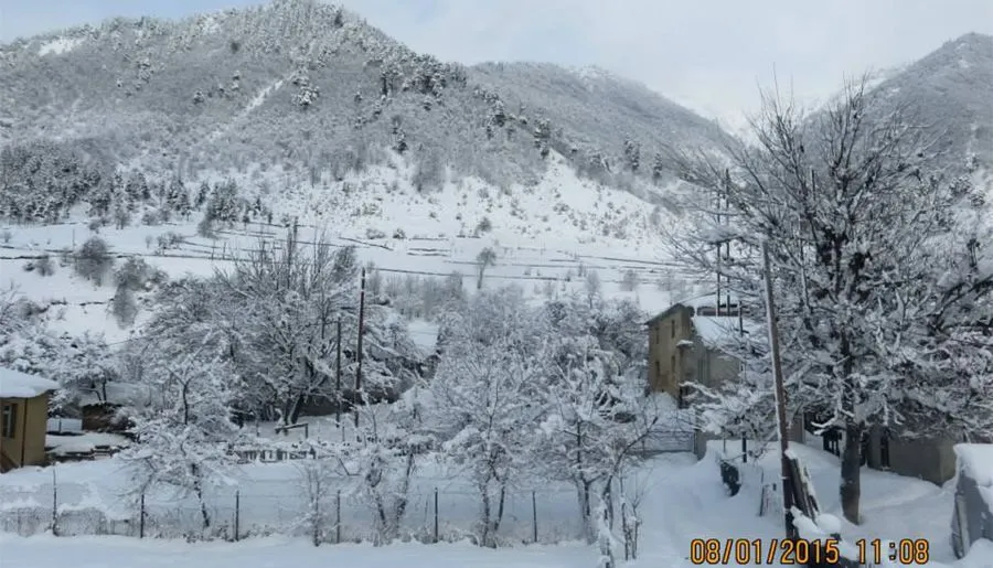 Golden Mountains House — Photo 22