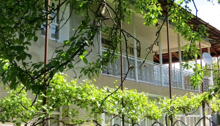 Golden Mountains House — Photo 20