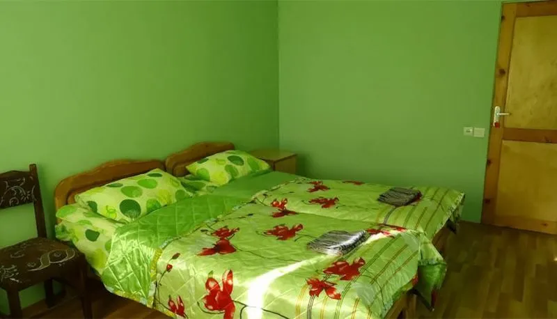 Guest House Koka — Photo 13