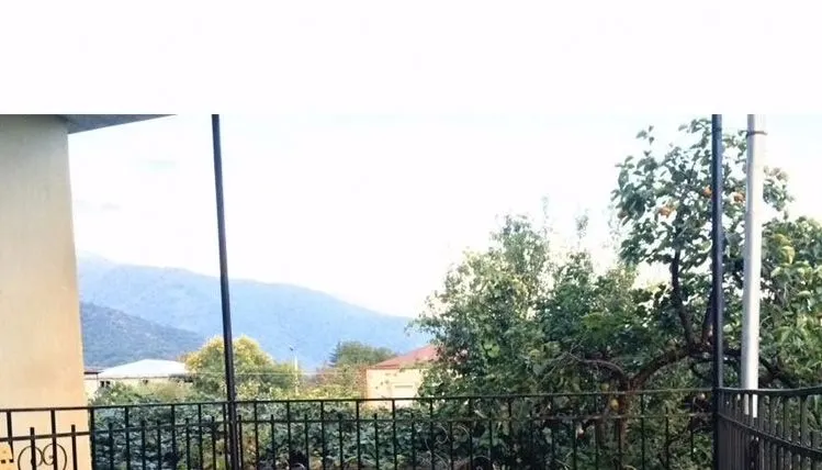 Violet — Photo 17