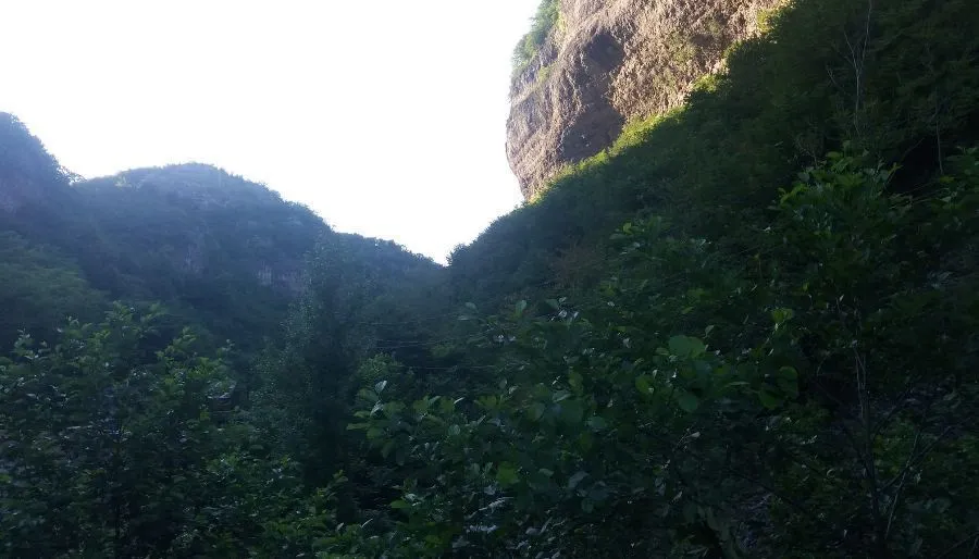 Firosmani — Photo 15