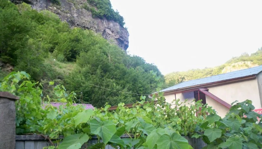 Firosmani — Photo 14