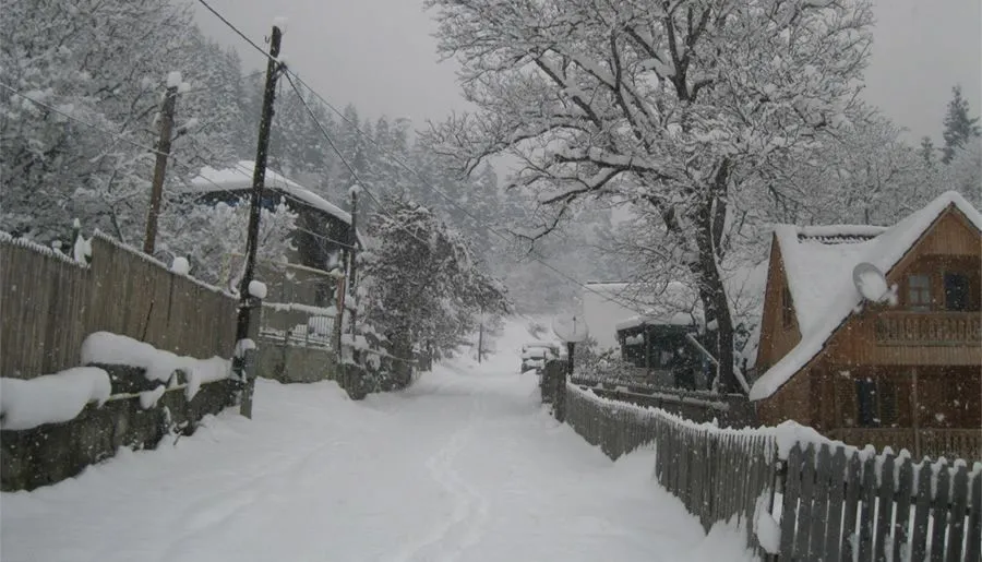 Eco Cottages — Photo 15