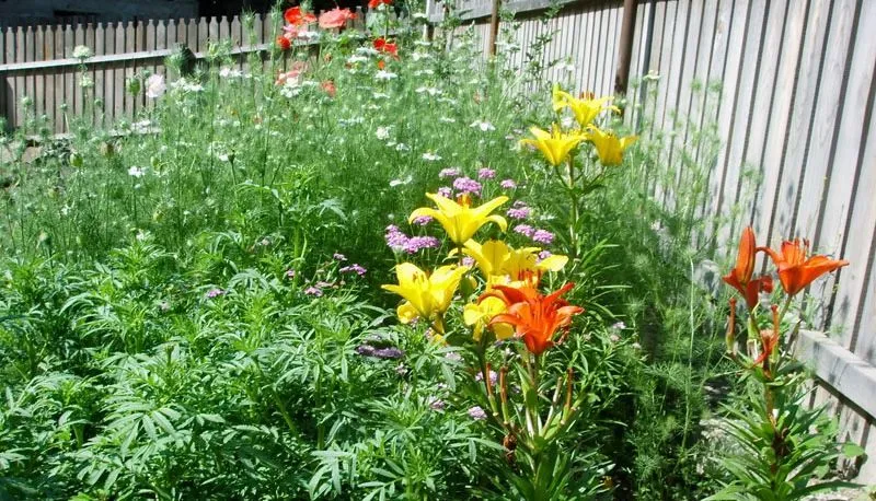 Eco Cottages — Photo 28