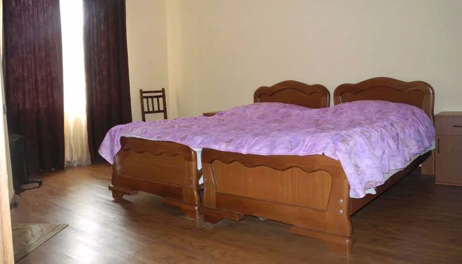 Guesthouse Davit Zhorzholiani — Photo 20