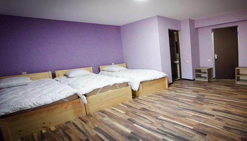 Eco Hotel Mzetamze — Photo 30