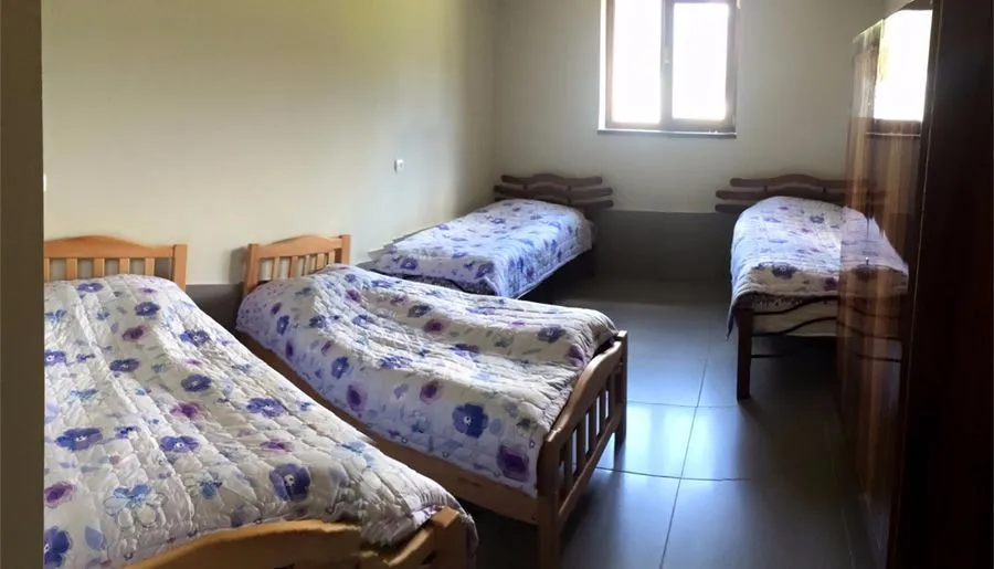Guesthouse Lasili — Photo 55