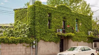 Green House