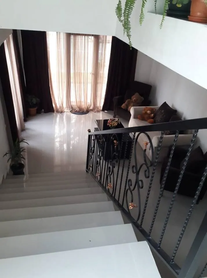 Balu — Photo 13