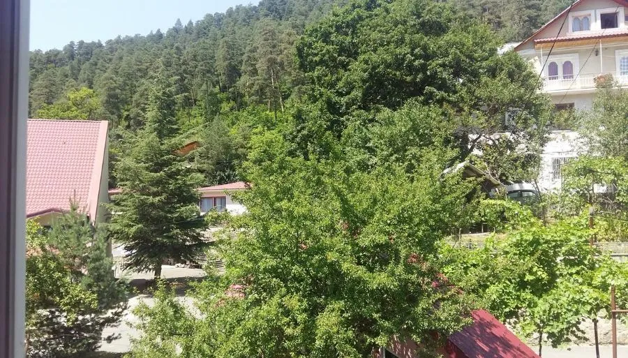 Guesthouse Borjomi-Likani Lomidze — Photo 4