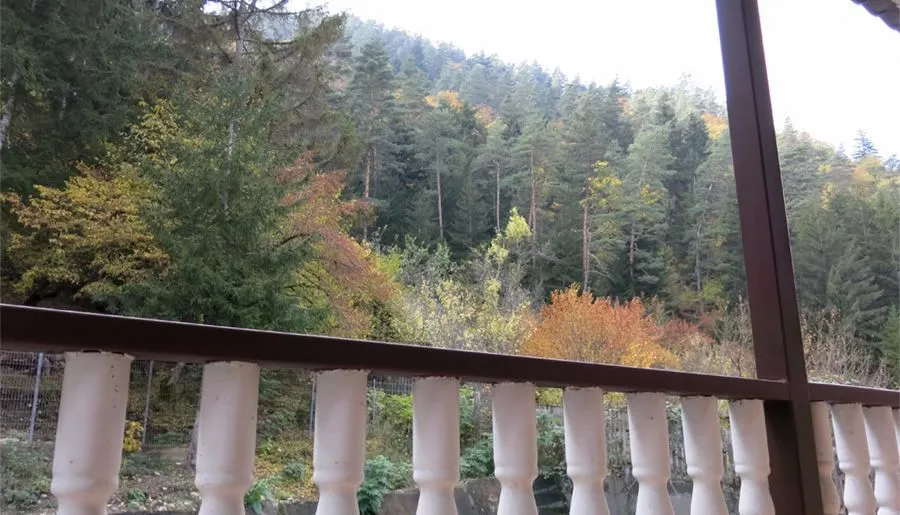 Guesthouse in Likani — Photo 27