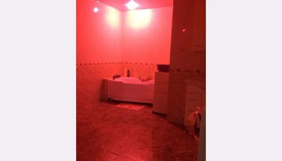 Wine Garden — Photo 23