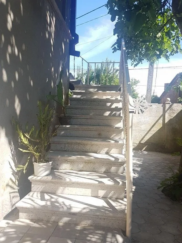 Mariami — Photo 13