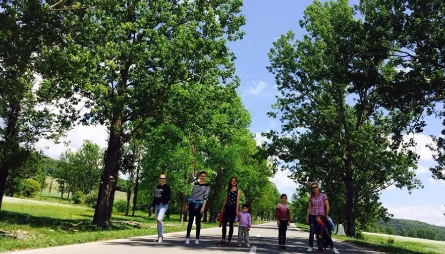 Green Tianeti — Photo 15