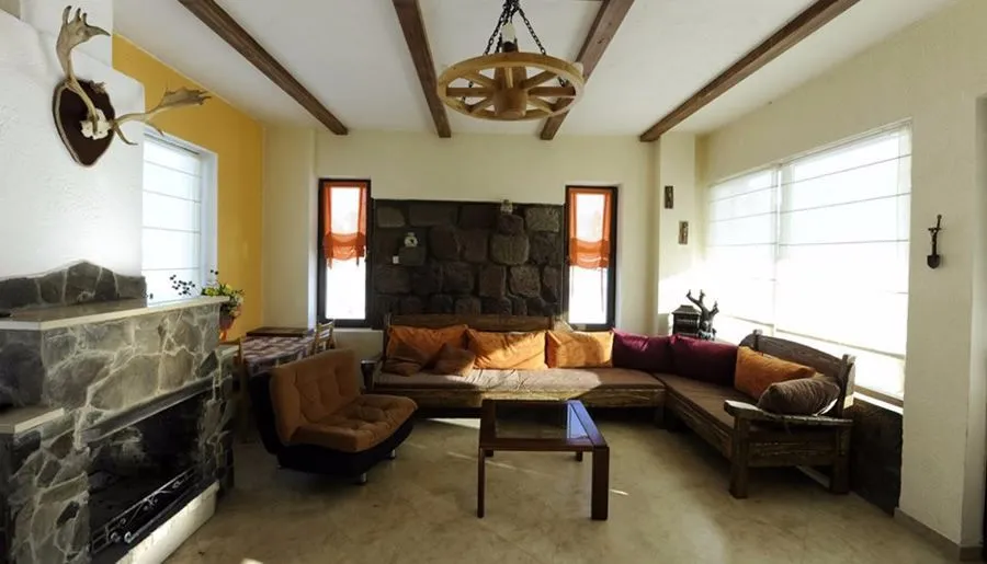 Cottage Bakuriani — Photo 8