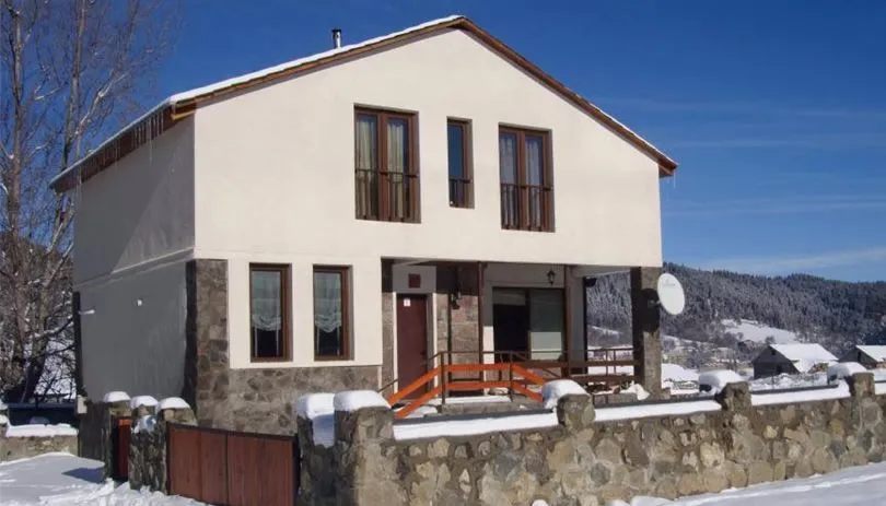 Cottage Bakuriani — Photo 4