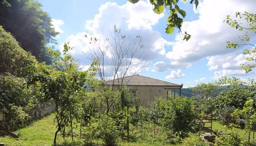 Green House — Photo 11