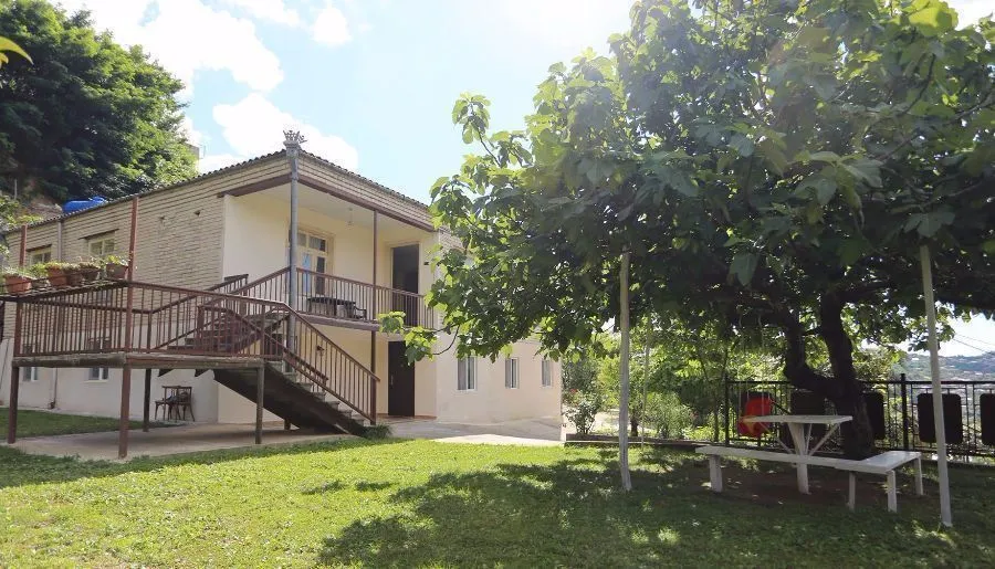 Green House — Photo 10