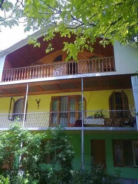 Dalko — Photo 10