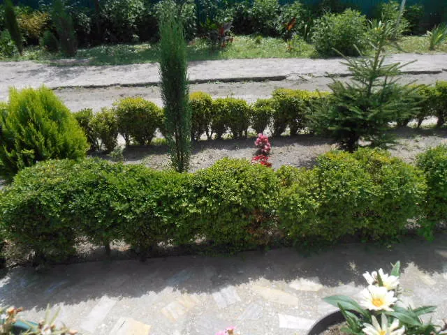 Guesthouse Lilu — Photo 44