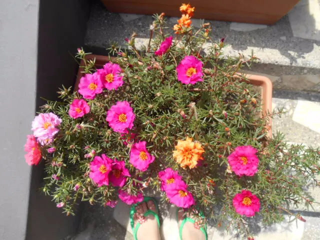 Guesthouse Lilu — Photo 38