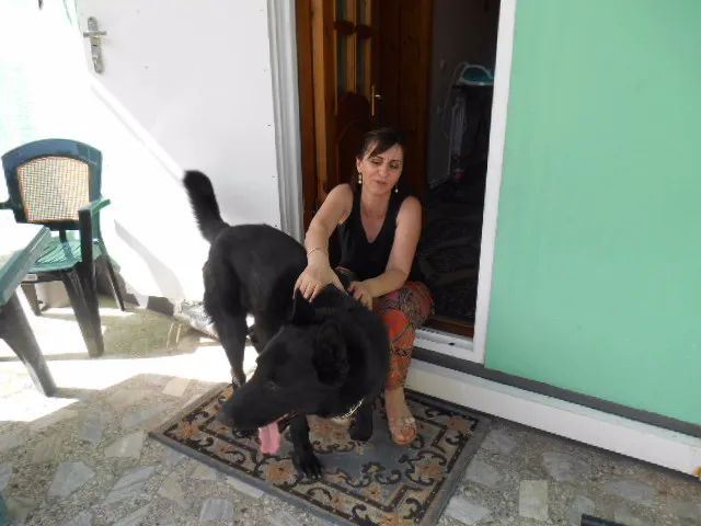 Guesthouse Lilu — Photo 40