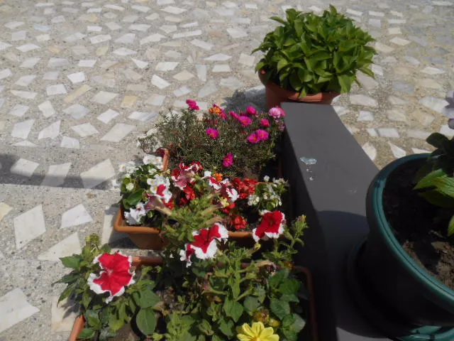 Guesthouse Lilu — Photo 43